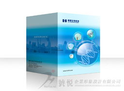 東莞號悅廣告 一站式專業設計與技術解決方案